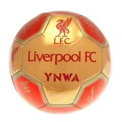 Liverpool FC Skill Ball