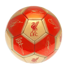 Liverpool FC Skill Ball