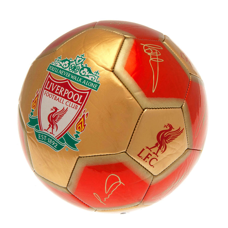 Liverpool FC Skill Ball