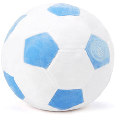 Manchester City Plush Football