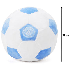 Manchester City Plush Football